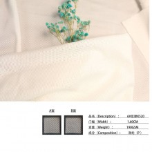 XT004