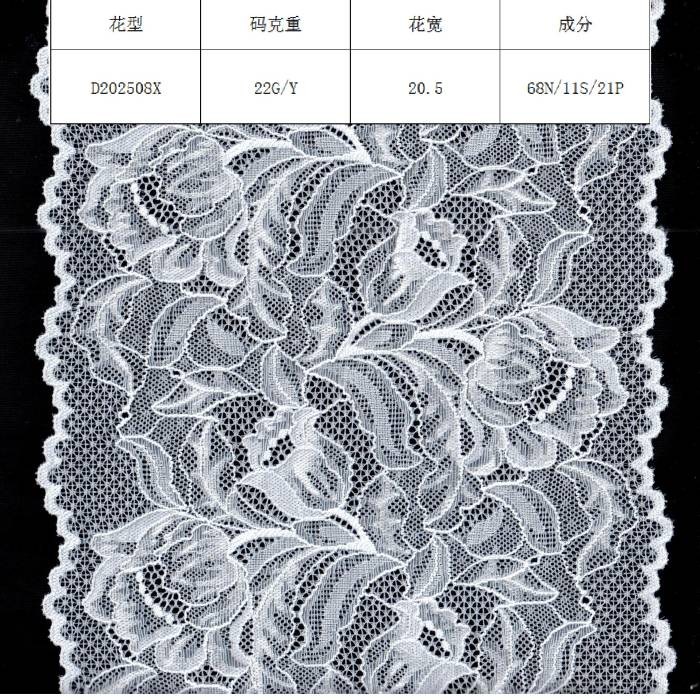 D202508X